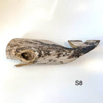 Driftwood Whales