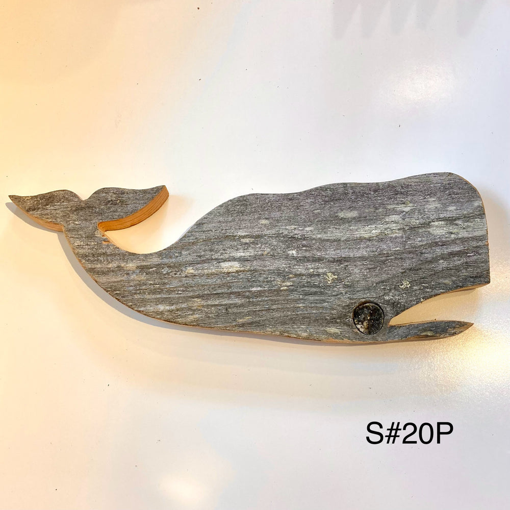 Driftwood Whales