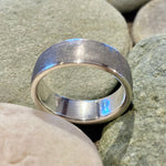 Gibeon Meteorite Ring with Sterling Silver Liner