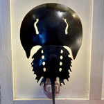 Wrought Iron Horseshoe Crab Night Light