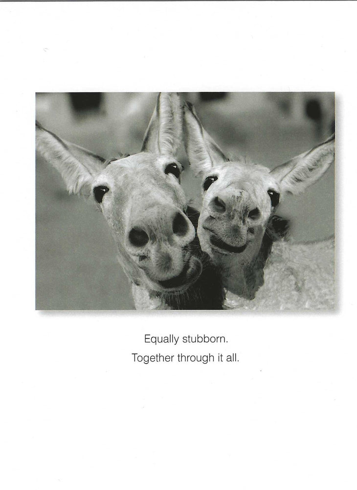 Equally Stubborn Anniversary Card