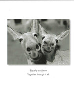 Equally Stubborn Anniversary Card