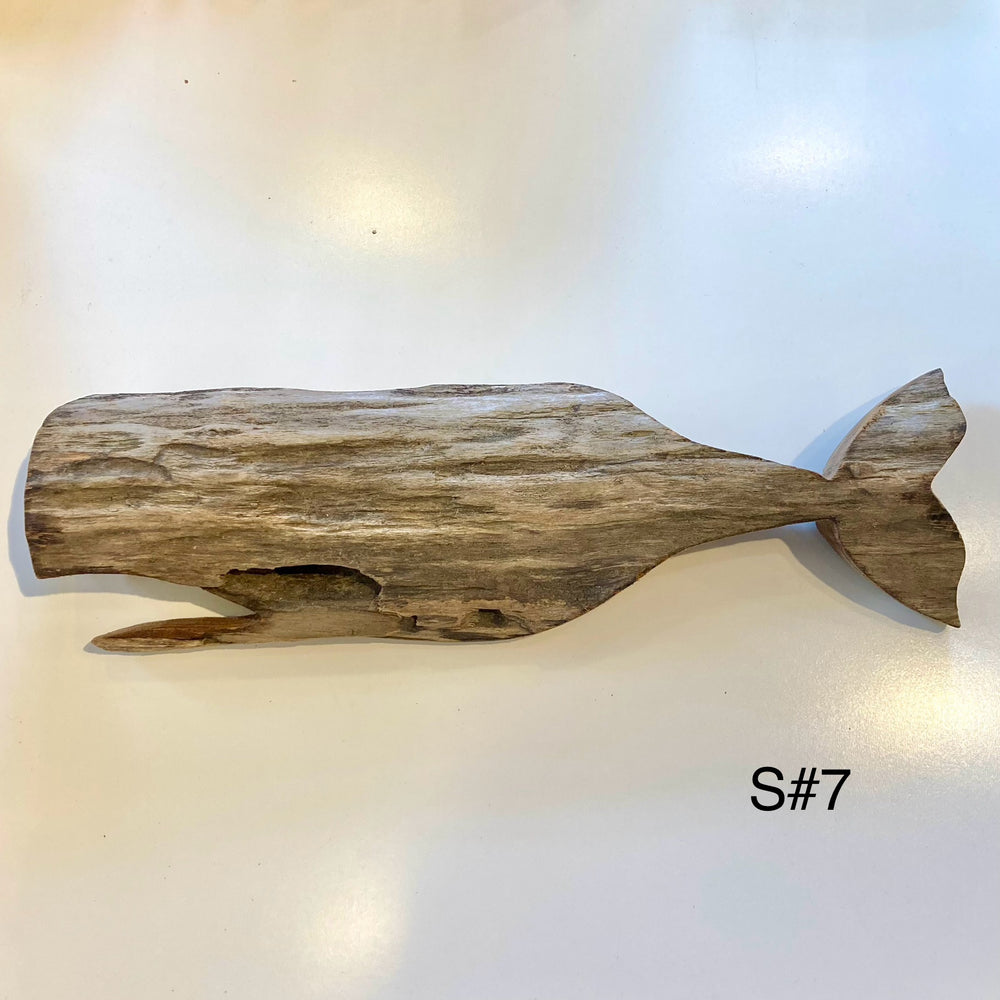 Driftwood Whales