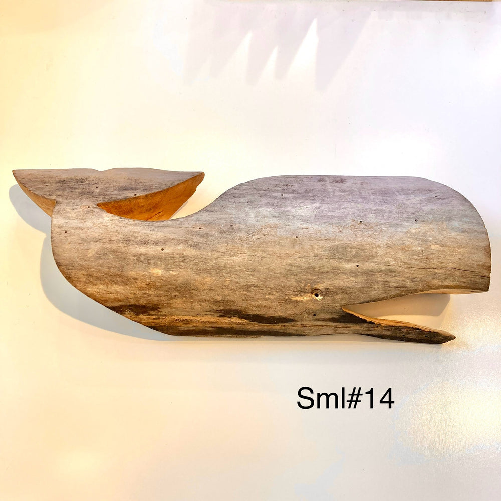 Driftwood Whales