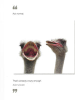 Act Normal Birthday Card