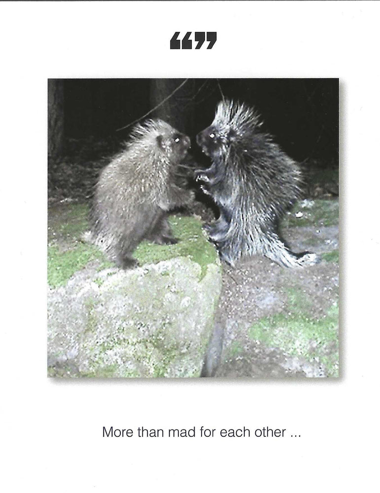 More Than Mad For Each Other Anniversary Card