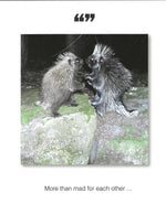 More Than Mad For Each Other Anniversary Card