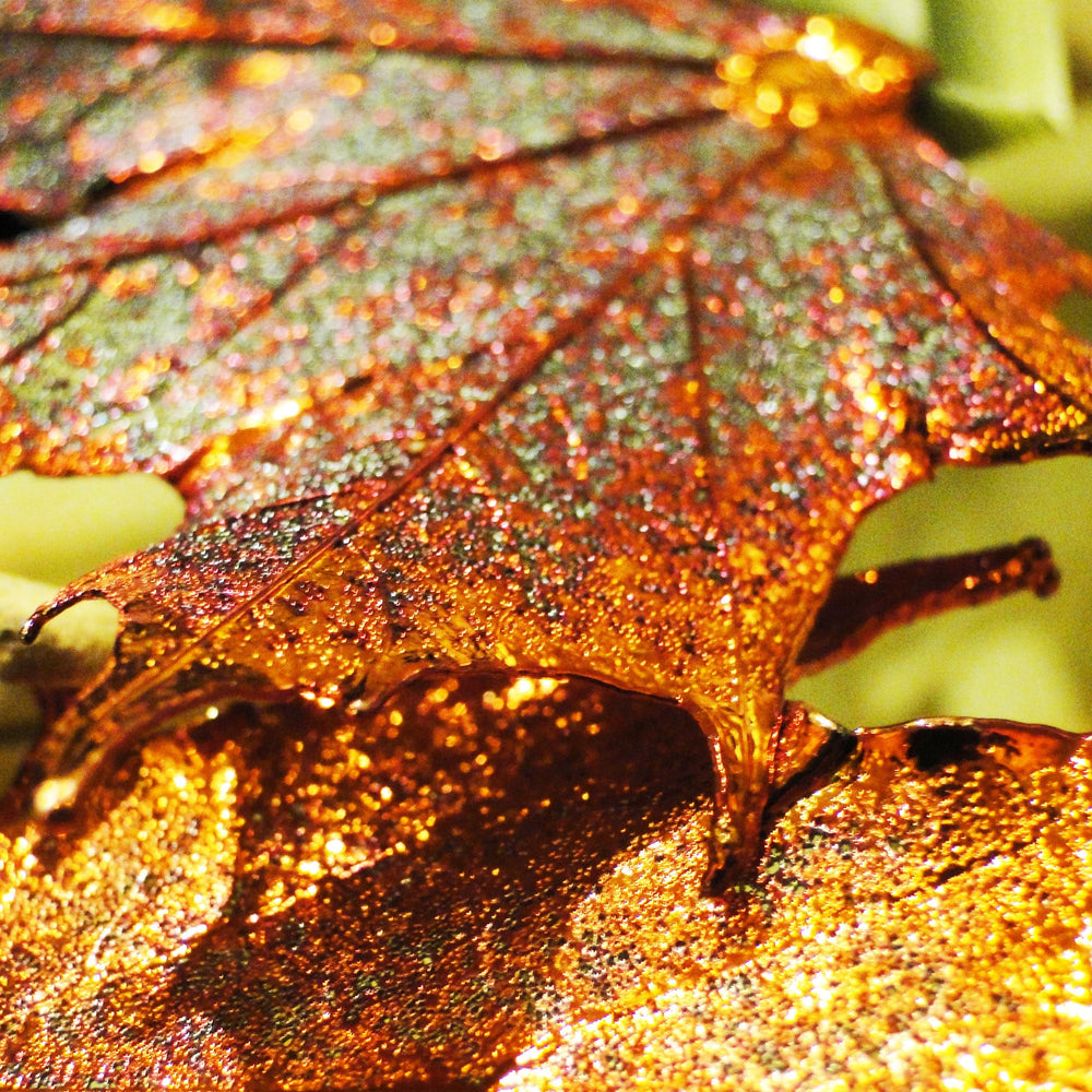 Iridescent Copper Fossilized Maple Leaf Ornament